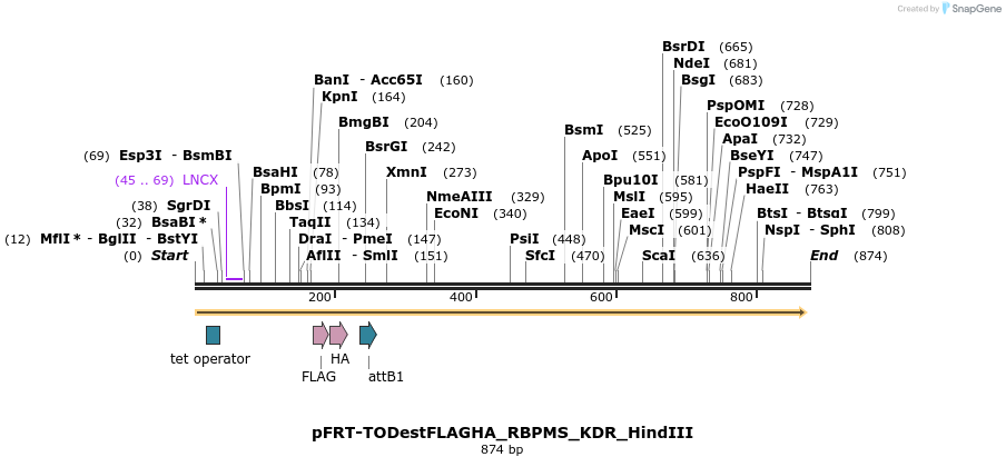 114949_map