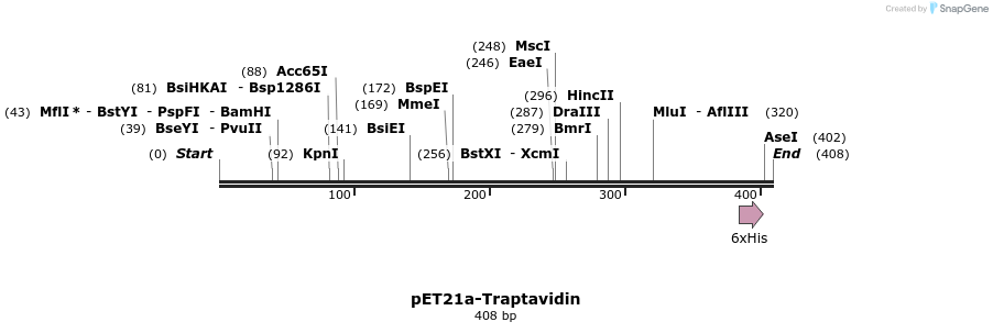 11495_map