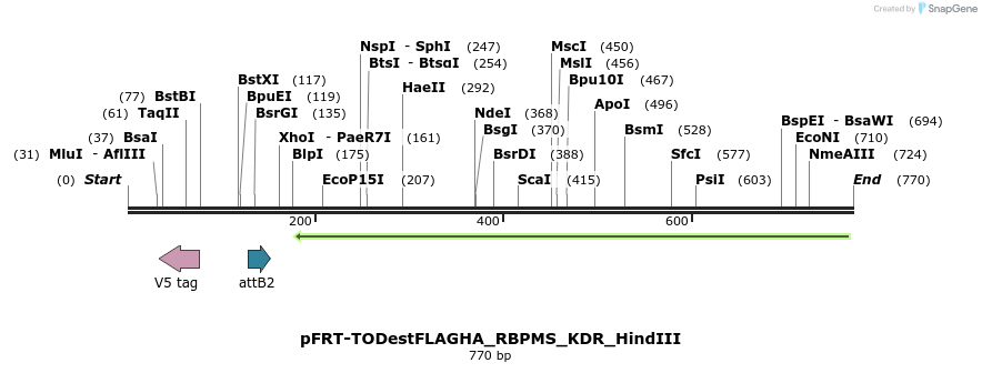 114951_map