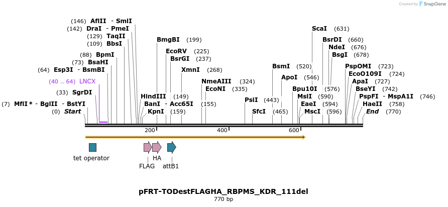 114952_map