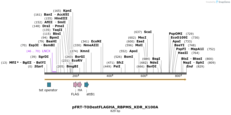 114958_map