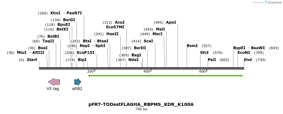 114959_map