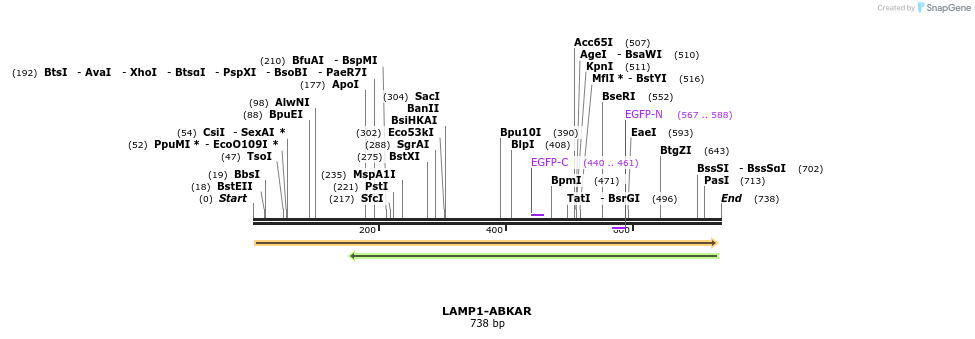 114961_map