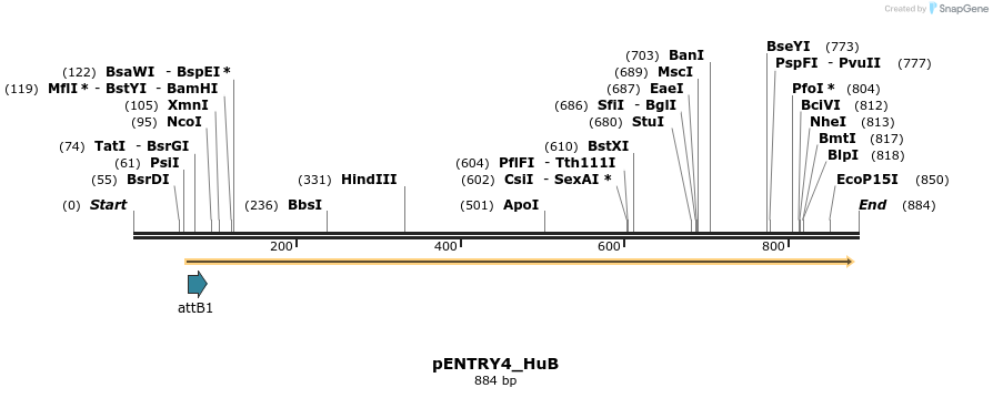 114966_map