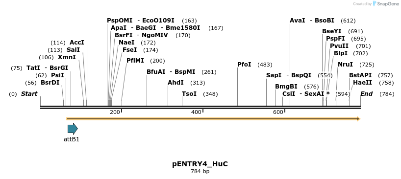 114972_map