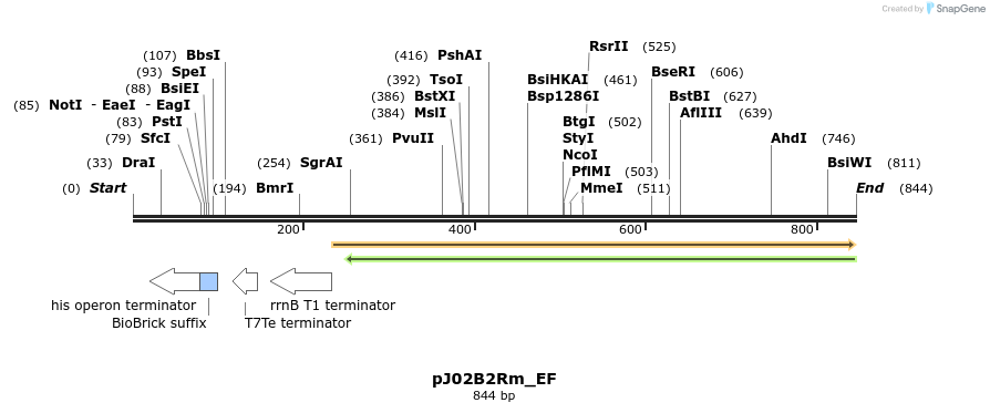 114973_map