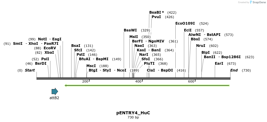 114974_map