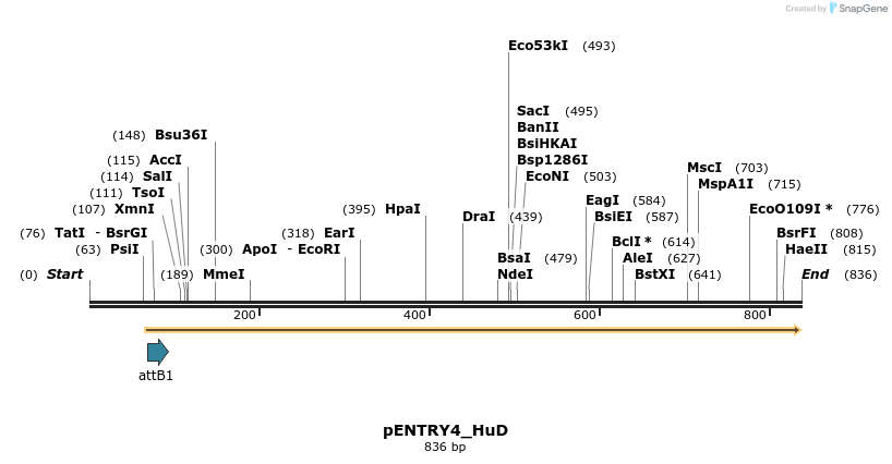 114979_map
