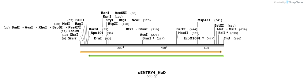 114980_map
