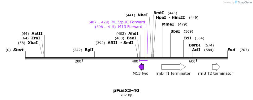 114983_map