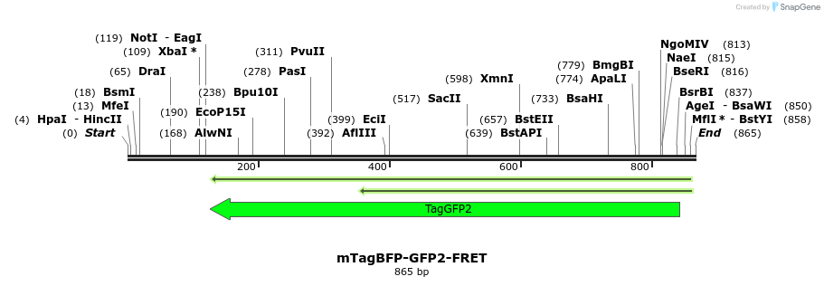 114985_map