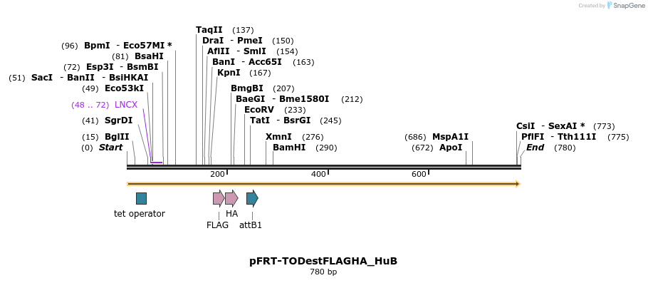 114987_map