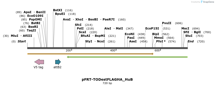 114990_map