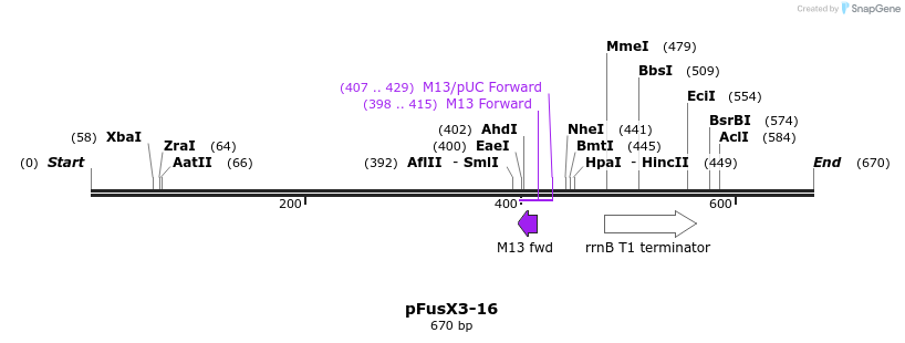 114991_map
