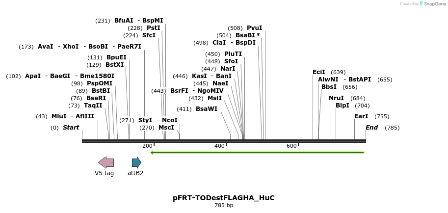 114995_map