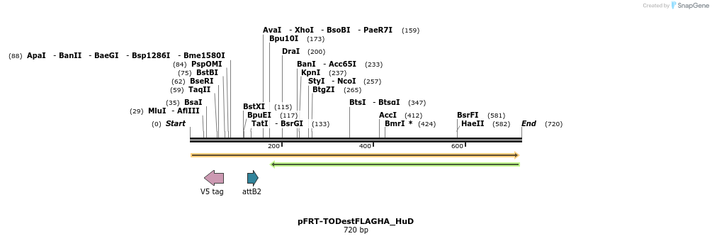114997_map