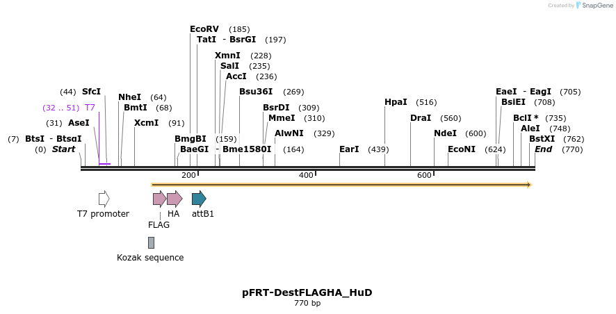 115004_map