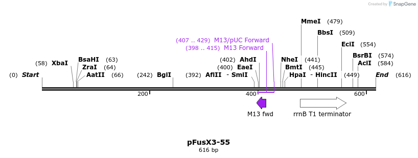 115013_map