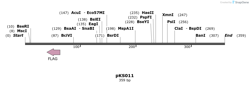 115019_map