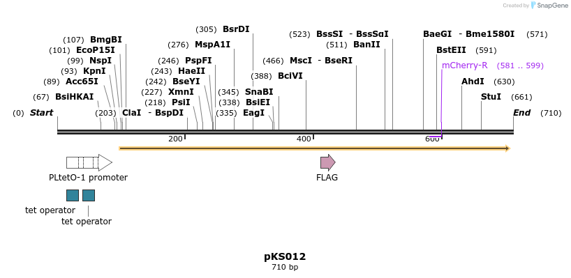 115026_map