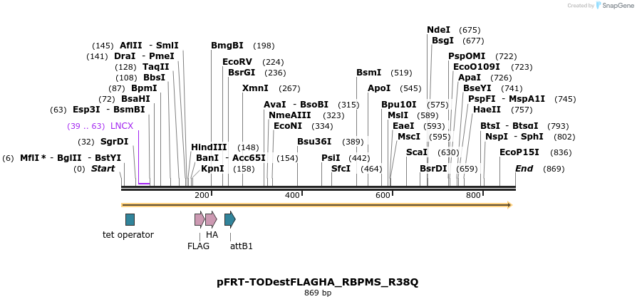 115033_map