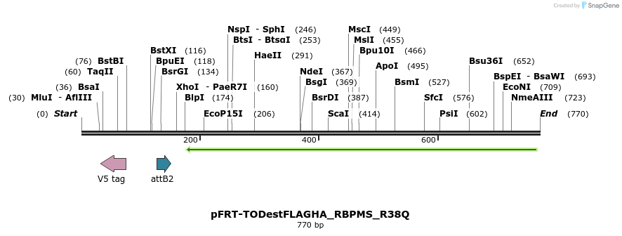115036_map