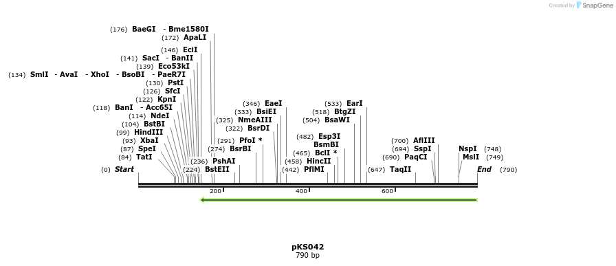 115037_map