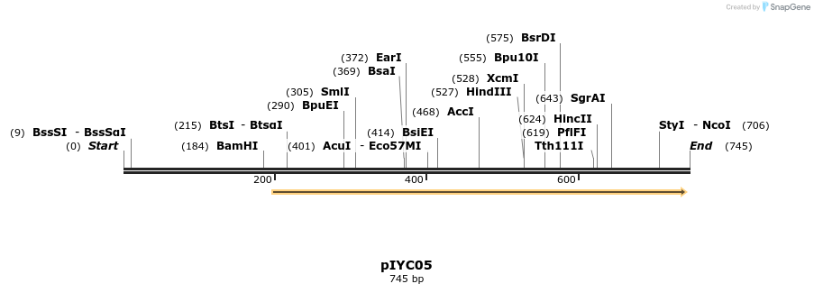 115039_map