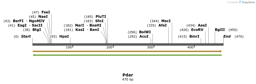 11505_map
