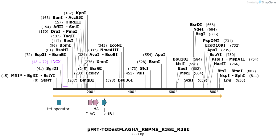 115050_map
