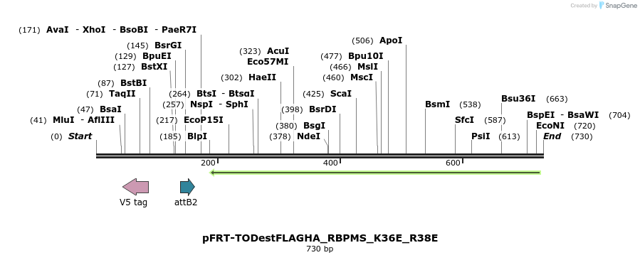 115051_map