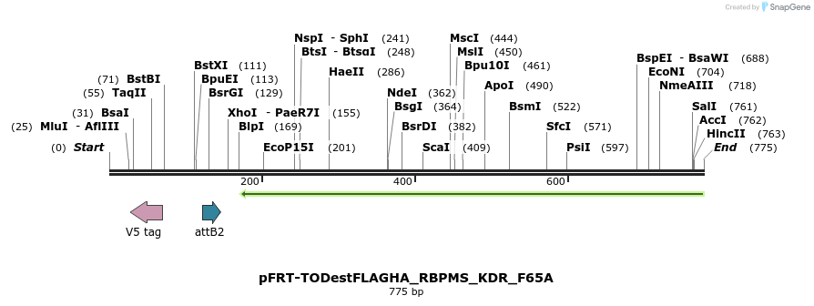 115053_map