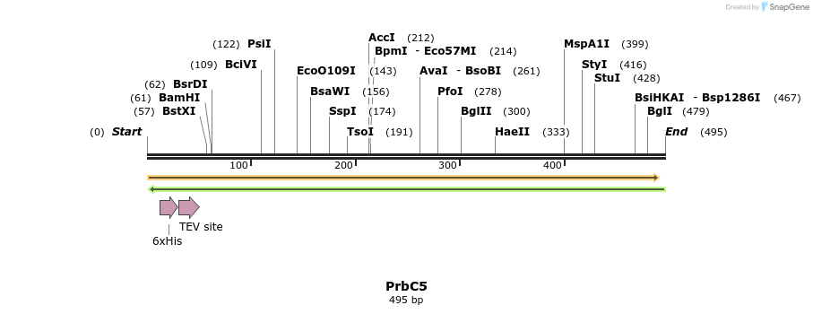 11506_map