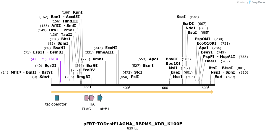 115060_map
