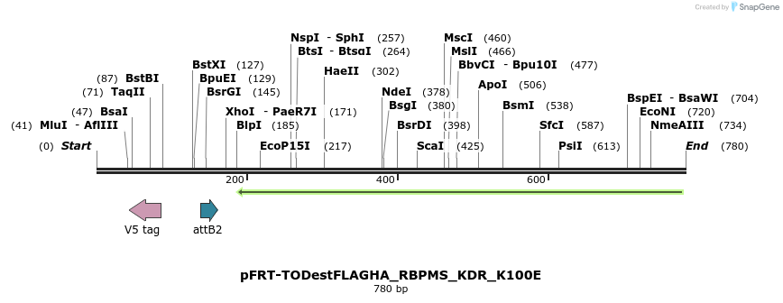 115061_map