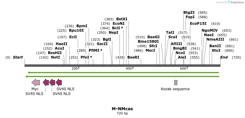 115064_map