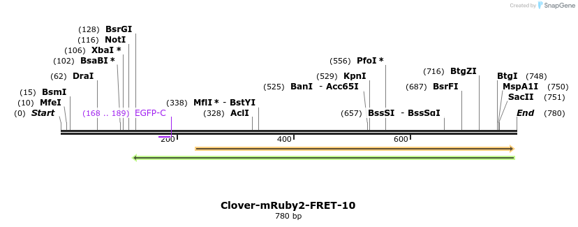 115068_map
