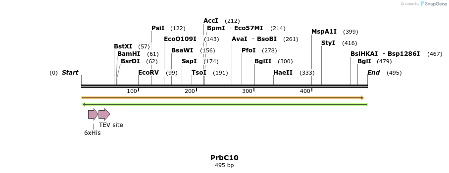 11507_map