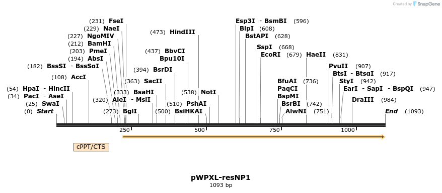115081_map