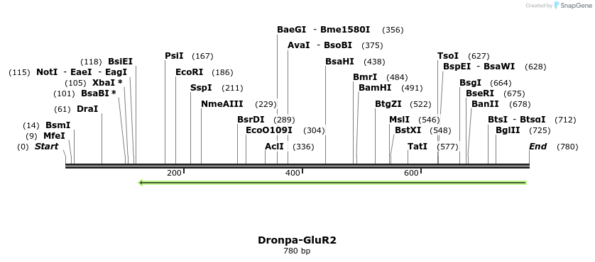 115082_map