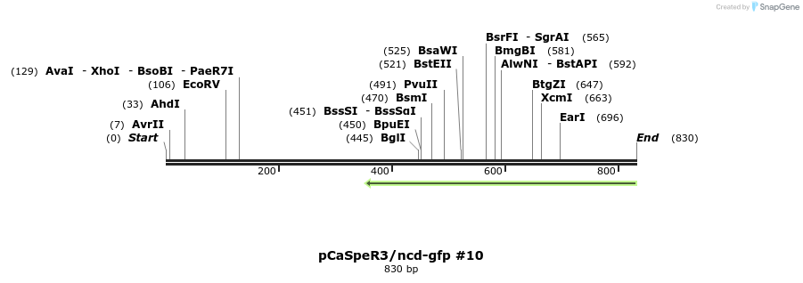 115084_map