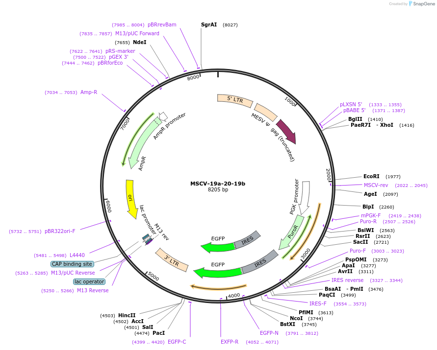 11509_map