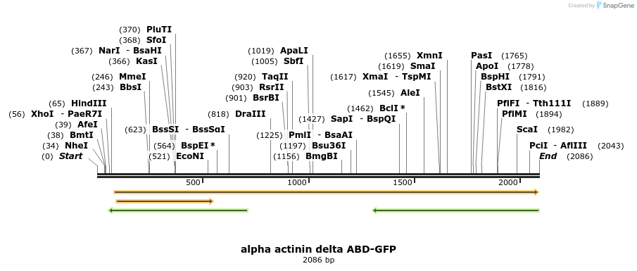 115097_map