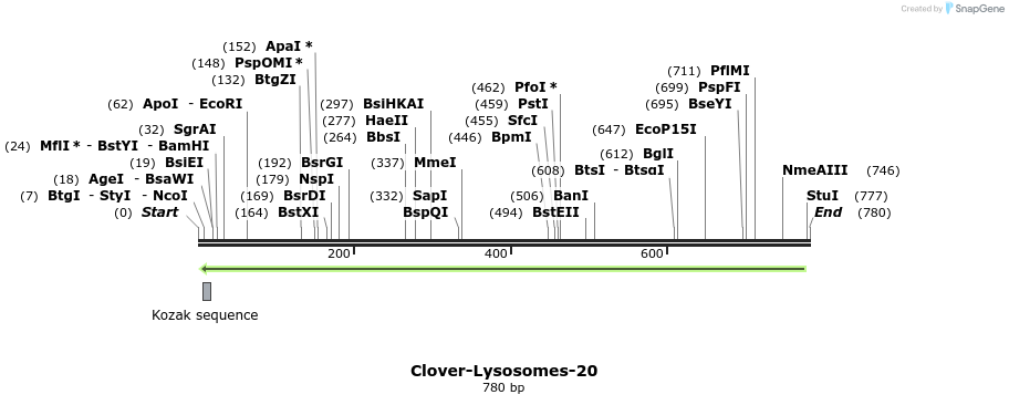 115099_map