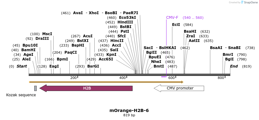 115103_map
