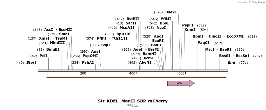 115104_map