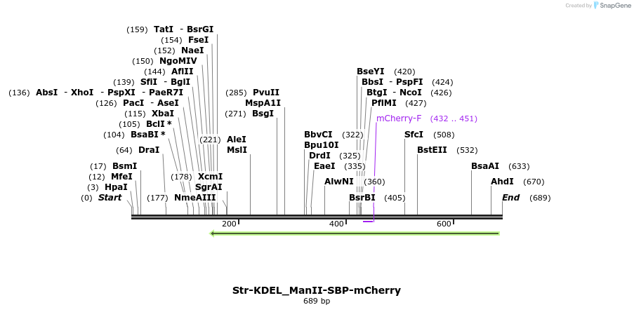 115105_map