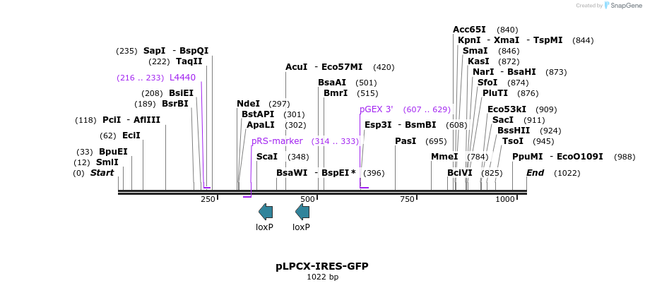 115106_map