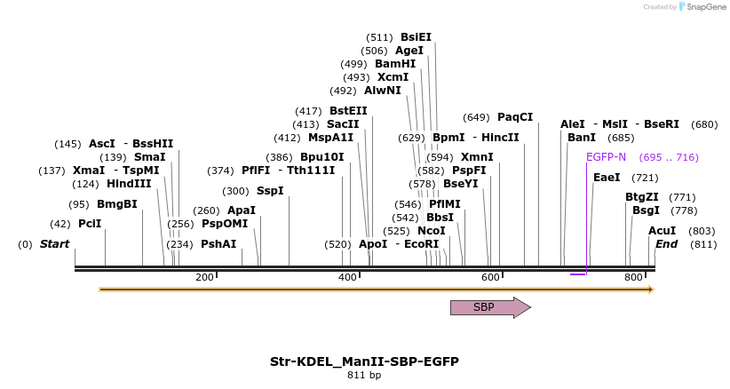 115108_map