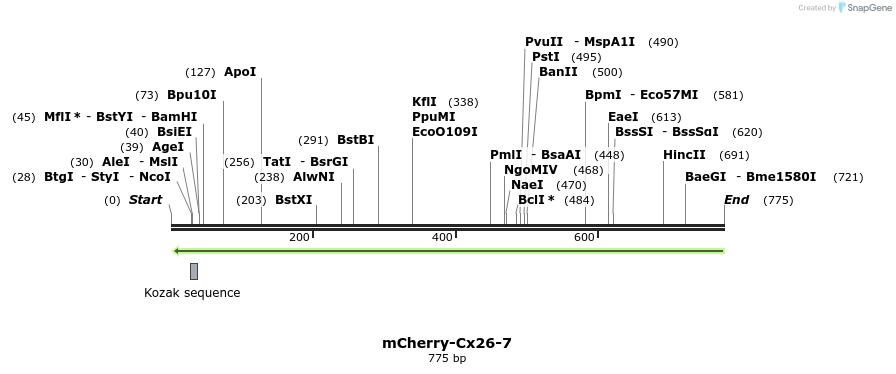 115115_map